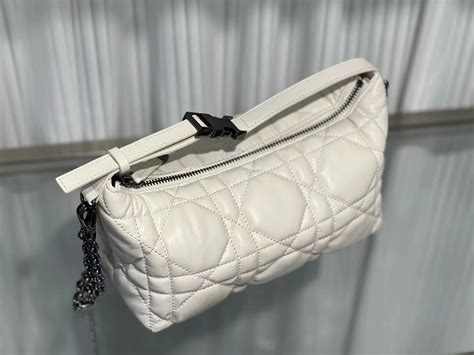 dior lunch box